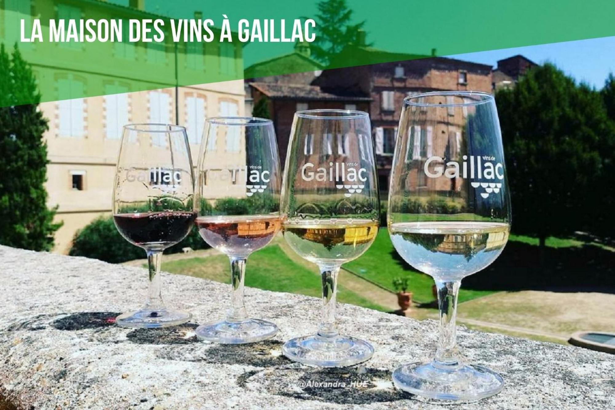 Casa vacanze Le Nature Vigne Rouge Gaillac Entre Albi / Toulouse Brens (Tarn)